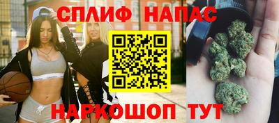 шишки Сланцы