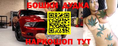 шишки Сланцы