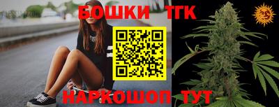 шишки Сланцы