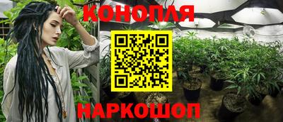 шишки Сланцы