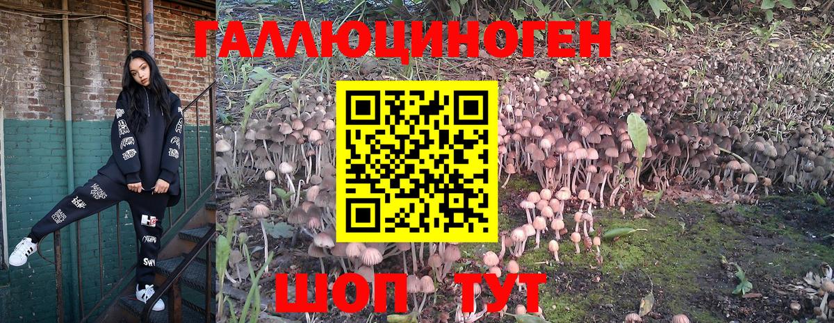 Псилоцибиновые грибы мухоморы Рубцовск